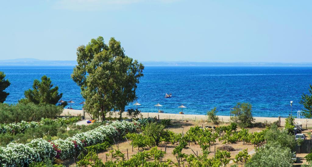 Coral Blue Beach Hotel Gerakini Extérieur photo